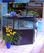 punto ingresso.jpg